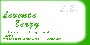 levente berzy business card